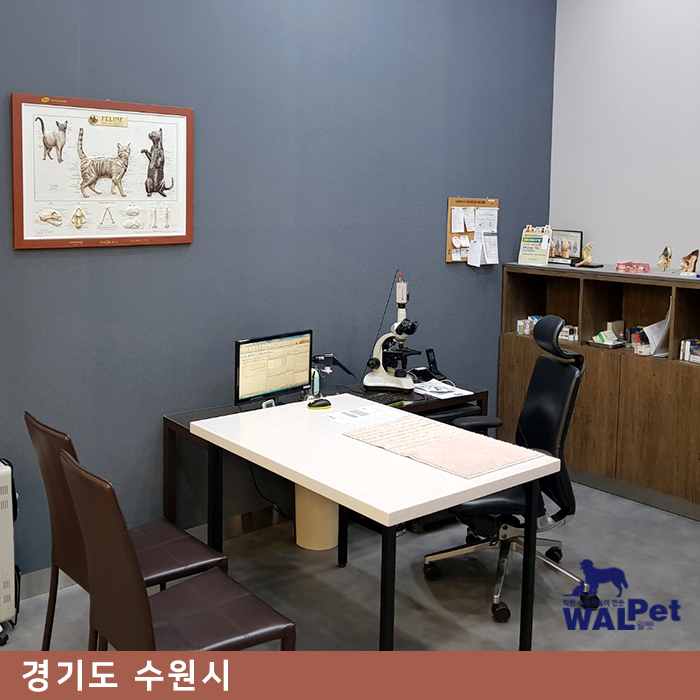 위즈펫 동물병원 직영 분양샵 동수원점 [경기도 수원시]
